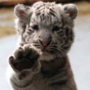 สมาชิกหมายเลข 1995207