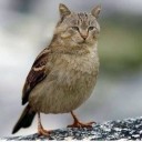 สมาชิกหมายเลข 1127615