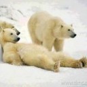 สมาชิกหมายเลข 1297668