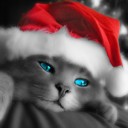 สมาชิกหมายเลข 2363817