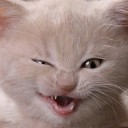 สมาชิกหมายเลข 2363883