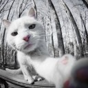 โอ้ลั้นลา_ปลาร้าของหนู