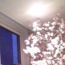 สมาชิกหมายเลข 1538436