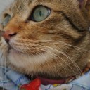 สมาชิกหมายเลข 925845