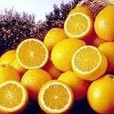 Lady orange