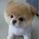 สมาชิกหมายเลข 732563