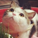 สมาชิกหมายเลข 1538698