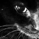 สมาชิกหมายเลข 1970293