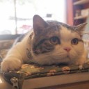 สมาชิกหมายเลข 2757397