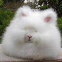 สมาชิกหมายเลข 743909