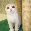 สมาชิกหมายเลข 2758801