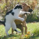 ชายไทยไม่ทราบนามสกุล