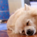 สมาชิกหมายเลข 733844