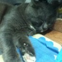 สมาชิกหมายเลข 1939963