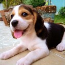 สมาชิกหมายเลข 2759420