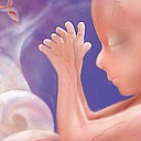 สมาชิกหมายเลข 2761636