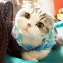 สมาชิกหมายเลข 3183857