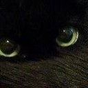 สมาชิกหมายเลข 1276022