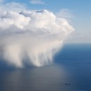 สมาชิกหมายเลข 3184409