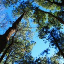 ลจจุดจุด