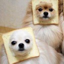 สมาชิกหมายเลข 1128898