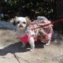 สมาชิกหมายเลข 1539023