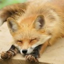 สมาชิกหมายเลข 1540485