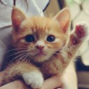 สมาชิกหมายเลข 1905095