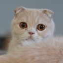 สมาชิกหมายเลข 1972670