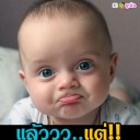 สมาชิกหมายเลข 2366175