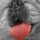 1111-confirm I'm fat