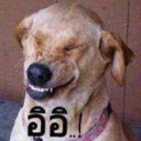 สมาชิกหมายเลข 1540775