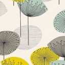 สมาชิกหมายเลข 1816006