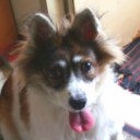 สมาชิกหมายเลข 1972462