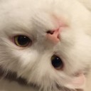 เด็กหญิงปันปัน