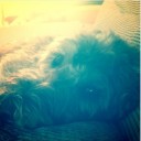 iEvia_น้องแว่นอ้วนกลม