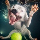 สมาชิกหมายเลข 1973385