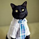 สมาชิกหมายเลข 2098208