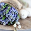 สมาชิกหมายเลข 1060065