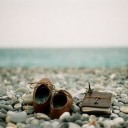 สมาชิกหมายเลข 732770