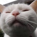 สมาชิกหมายเลข 1131703