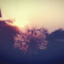 สมาชิกหมายเลข 2312774