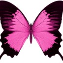 สมาชิกหมายเลข 734402