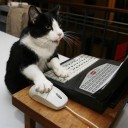 สมาชิกหมายเลข 723277