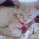 สมาชิกหมายเลข 974391