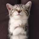 สมาชิกหมายเลข 1212038