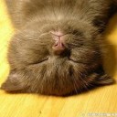 นานๆเข้าที จำล็อกอินไม่ค่อยได้