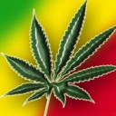 สมาชิกหมายเลข 951885