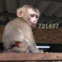 สมาชิกหมายเลข 721697