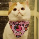 ตัวบทปริศนา